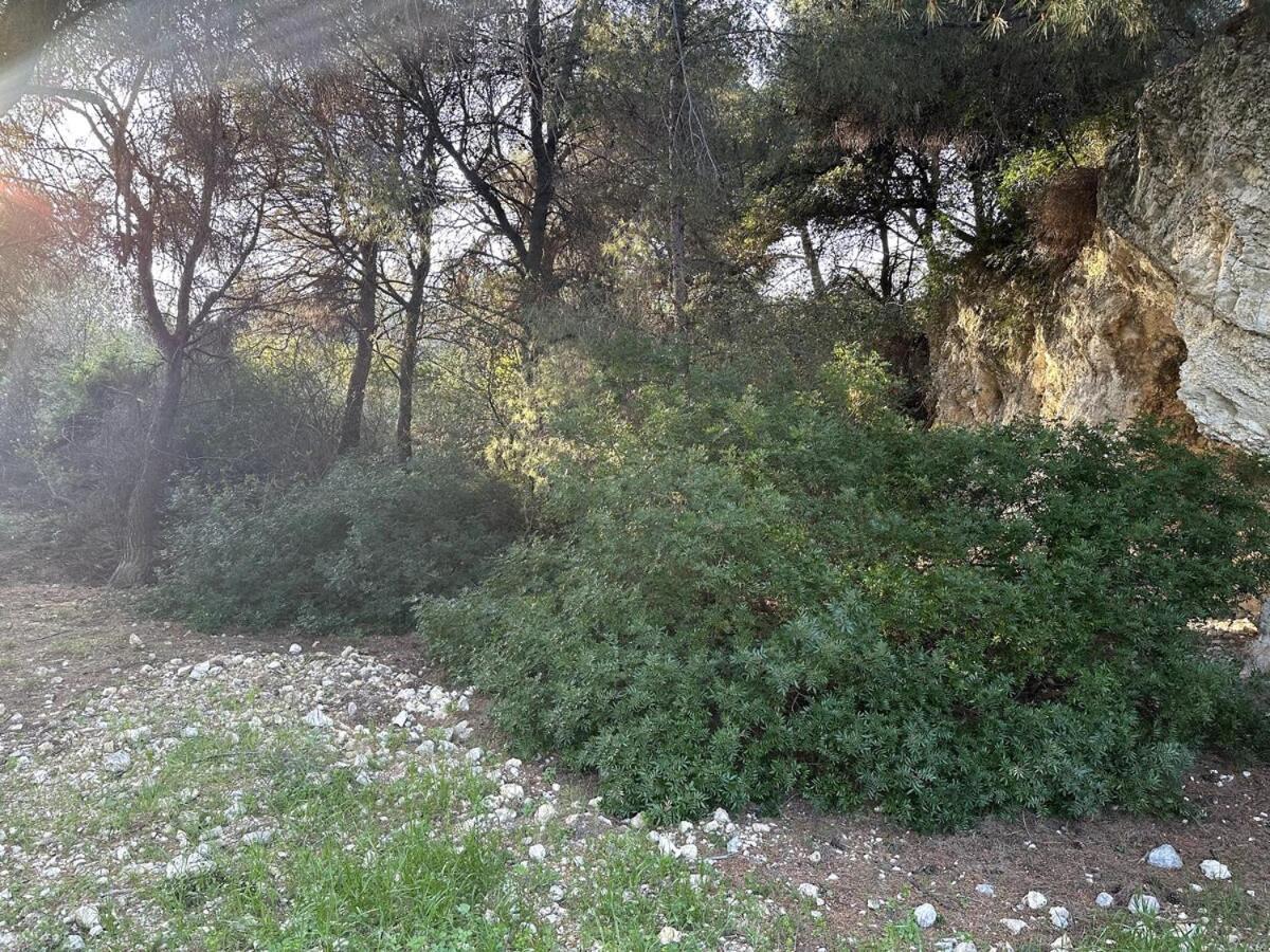 Breathe Guest-House Διαμέρισμα Νίκαια Εξωτερικό φωτογραφία